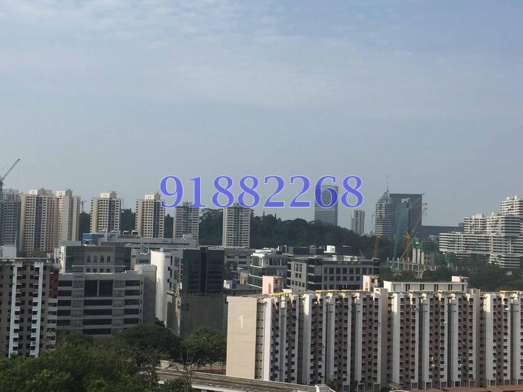 Blk 38 Jalan Rumah Tinggi (Bukit Merah), HDB 4 Rooms #86116832